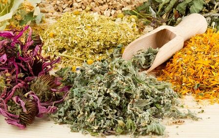 Herbs to increase the penis